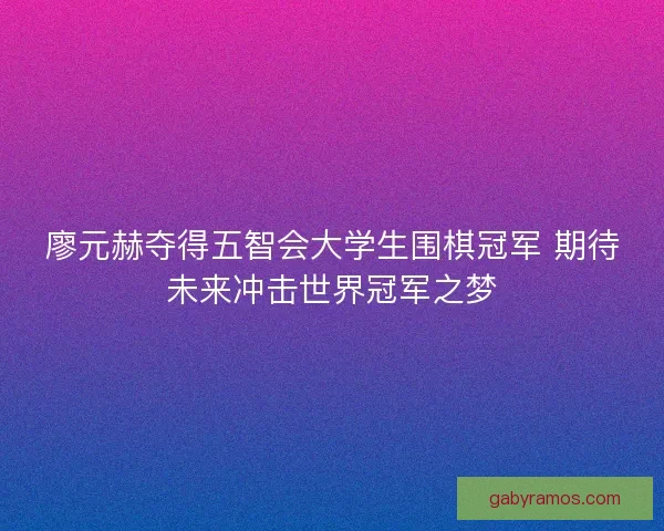廖元赫夺得五智会大学生围棋冠军 期待未来冲击世界冠军之梦