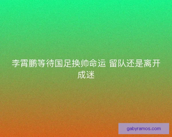 李霄鹏等待国足换帅命运 留队还是离开成迷